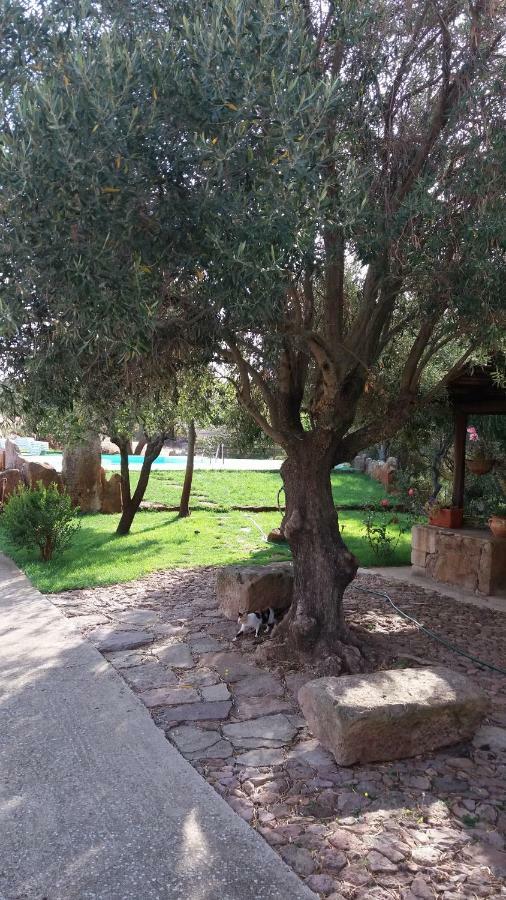 Agriturismo Sa E Padedda Mores Екстер'єр фото