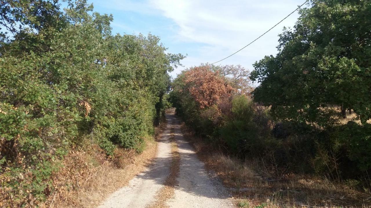 Agriturismo Sa E Padedda Mores Екстер'єр фото